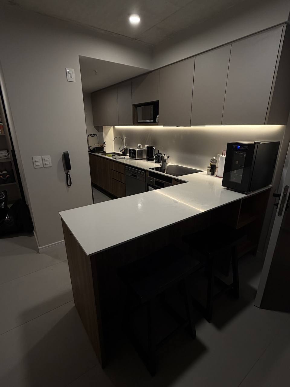 Modern kitchen with breakfast bar, gray cabinets