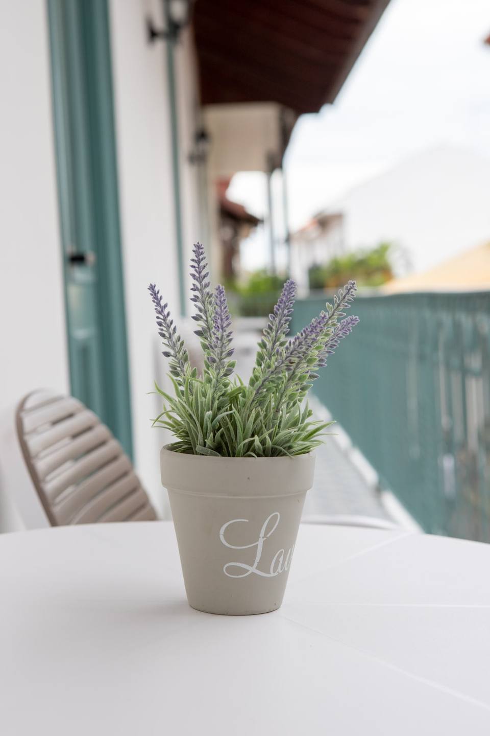 Potted plant on balcony table